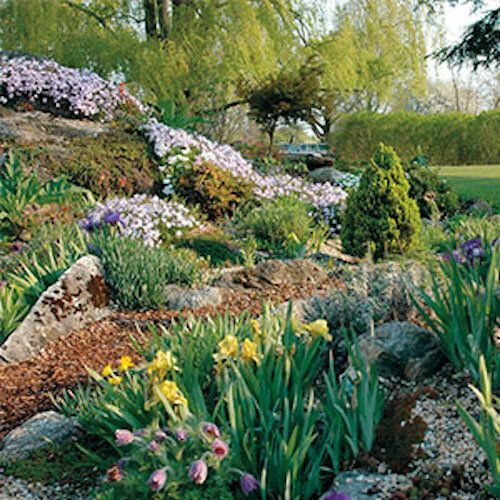 landscaping without supplemental watering